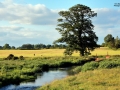 WEB 2015-06-20-Irlande Peche-364- MD