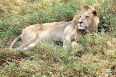 HD30-0648-Tanzanie-730909